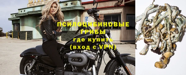 гидропоника Белокуриха