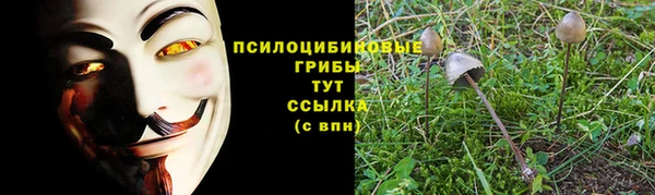 гидропоника Белокуриха