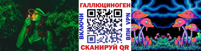 Купить закладки  Конаково  Галлюциногенные грибы Cubensis 